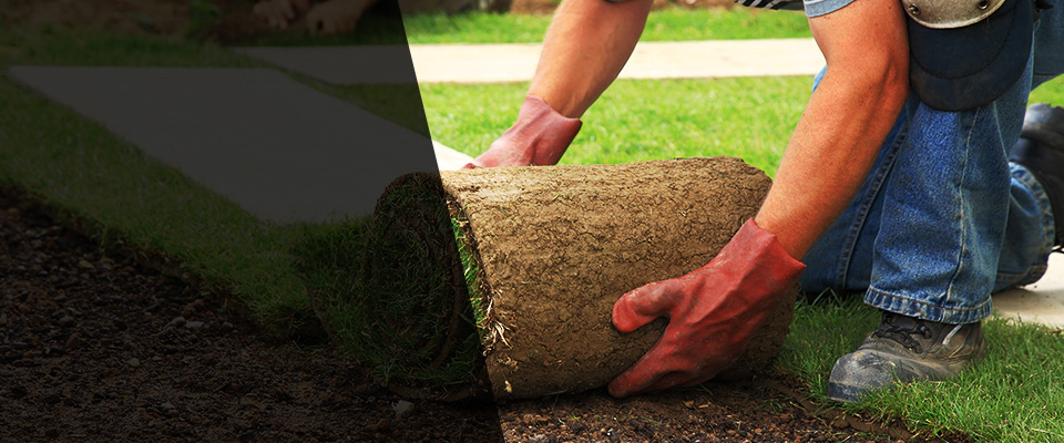 Sandstone Landscapers